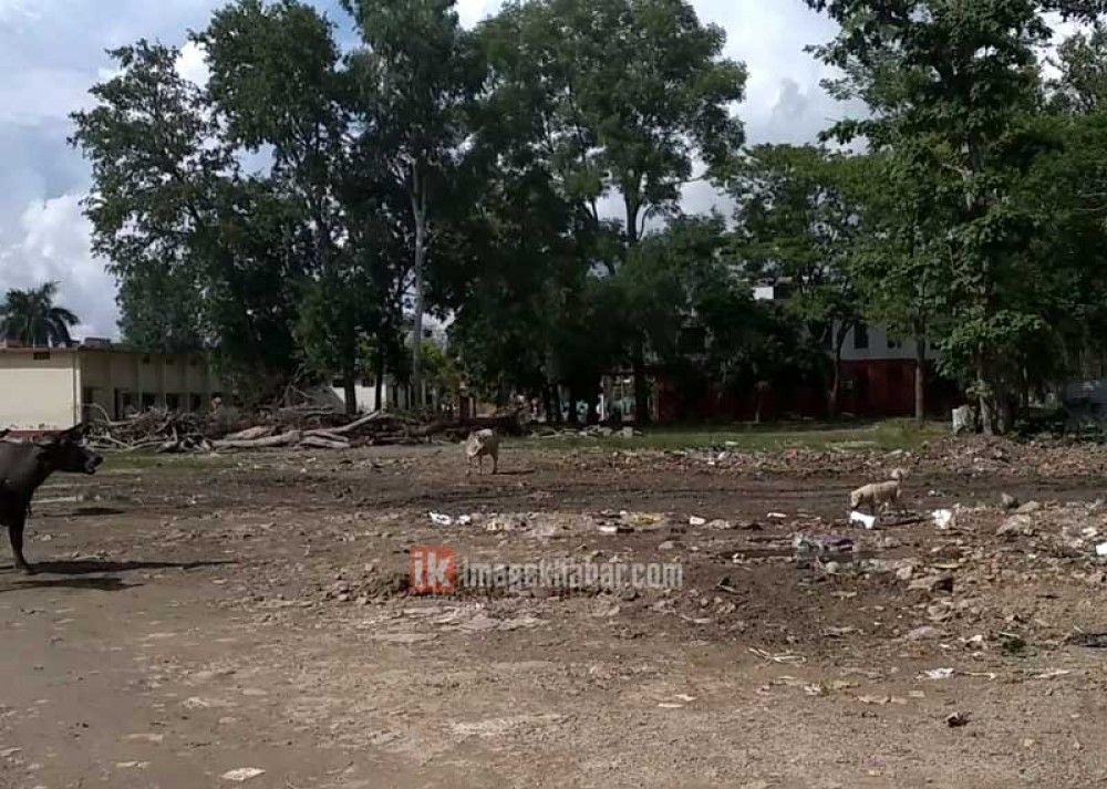 ईमेज समाचार प्रभाव : नगरपालिकाले हटायो फोहर 1 ईमेज समाचार प्रभाव : नगरपालिकाले हटायो फोहर