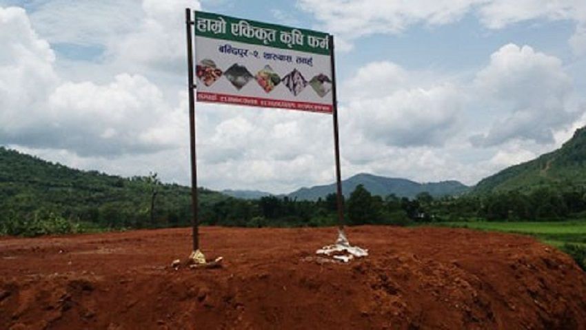 सार्वजनिक जग्गा हडप्दै जनप्रतिनिधि 1 सार्वजनिक जग्गा हडप्दै जनप्रतिनिधि