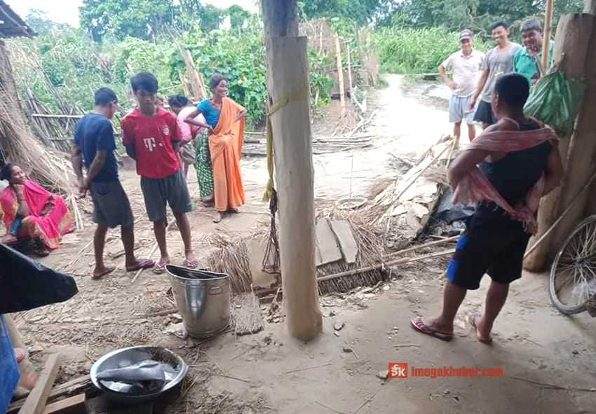 पर्साको सिमावर्ती क्षेत्रमा हात्तीे आतंक, स्थानीयको घरै भत्कायो 1 पर्साको सिमावर्ती क्षेत्रमा हात्तीे आतंक, स्थानीयको घरै भत्कायो