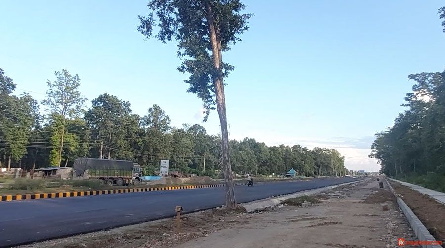 ६ लेनमा एउटा रुखको अवरोध ! 1 ६ लेनमा एउटा रुखको अवरोध !