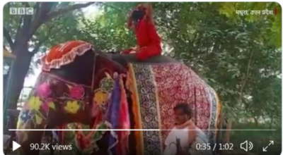 yoga ramdeb elephant india