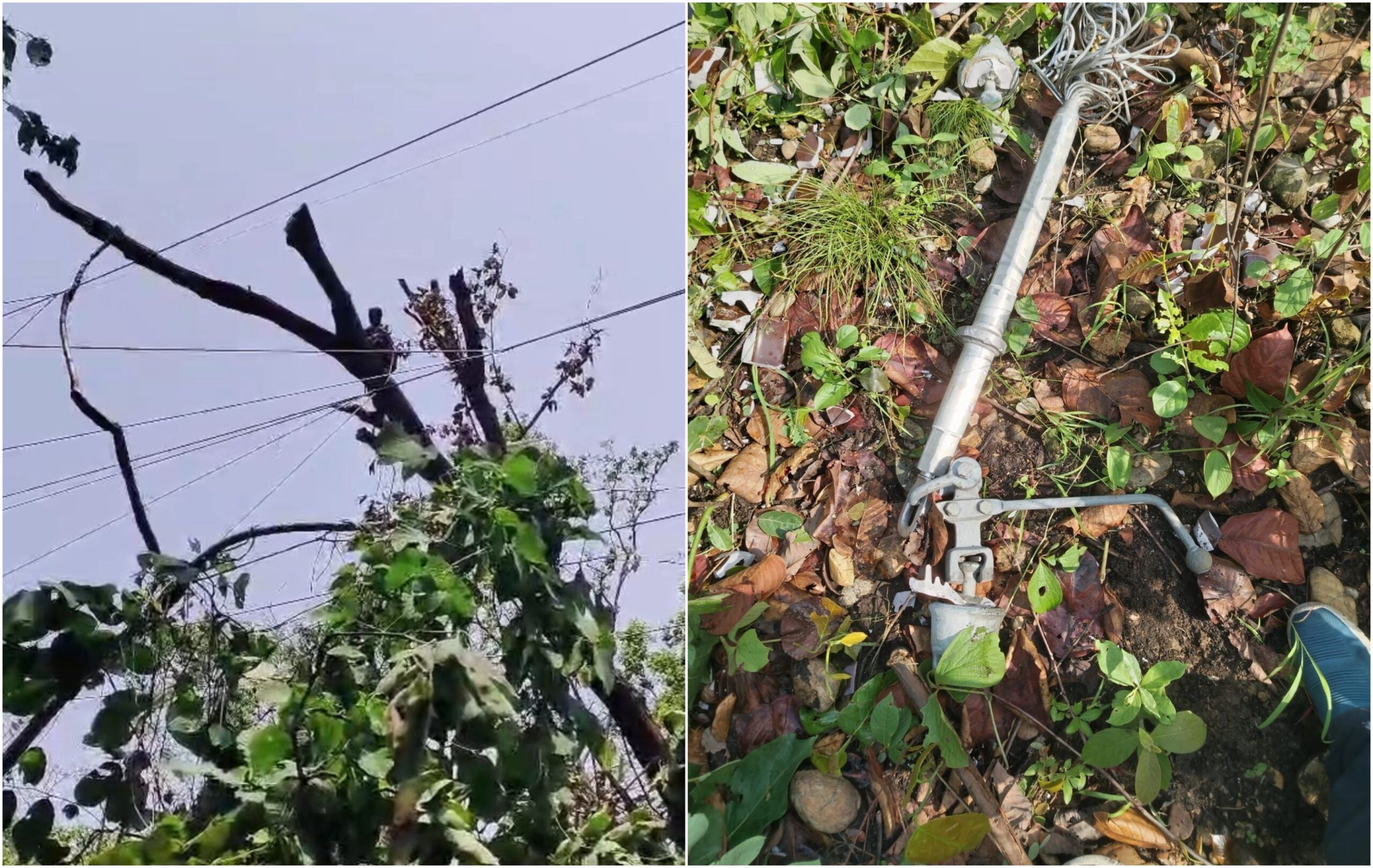 प्रतिकूल मौसमका कारण रुख ढल्दा विद्युत् लाइनमा क्षति, केही स्थानमा आपूर्ति अवरुद्ध